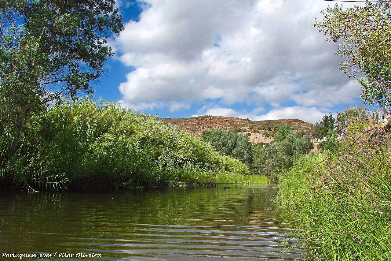 Het stille zoetwater van het rivierstrand Praia Fluvial do Pego Fundo bij Alcoutim, tussen riet en groen met de kale heuvels van het binnenland erachter