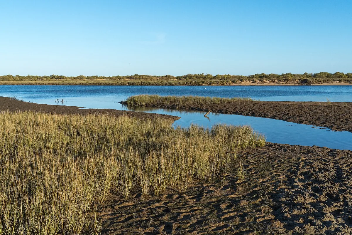 De zoutmoerassen en waterlopen van de Ria Formosa bij Cabanas de Tavira