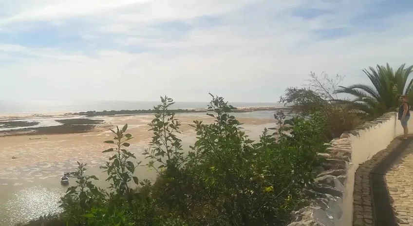 Witgekalkt wandelpad met palmboom langs de rand van Cacela Velha met uitzicht over de Ria Formosa