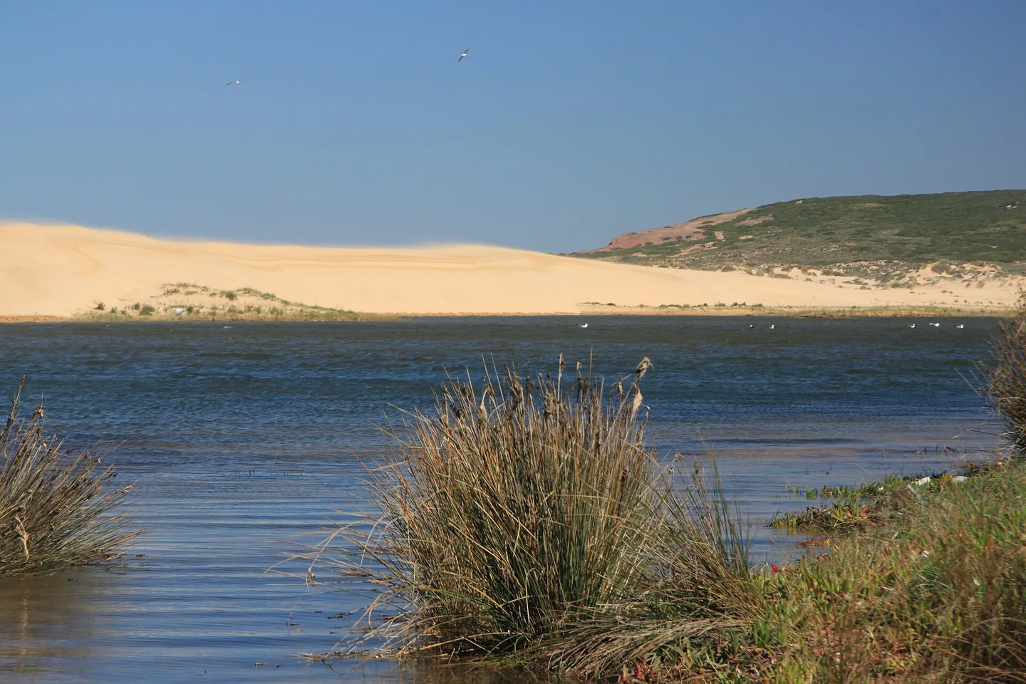 Het brede strand van Bordeira bij Carrapateira met duinen en een kronkelende kreek