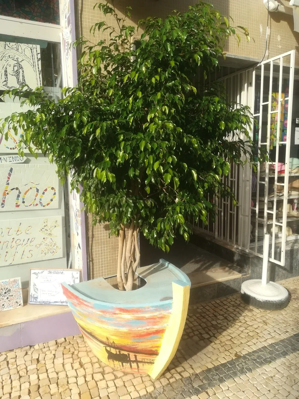 Een beschilderd vissersbootje dat als plantenbak dienstdoet, met een boompje erin, op de kasseien voor een winkeltje