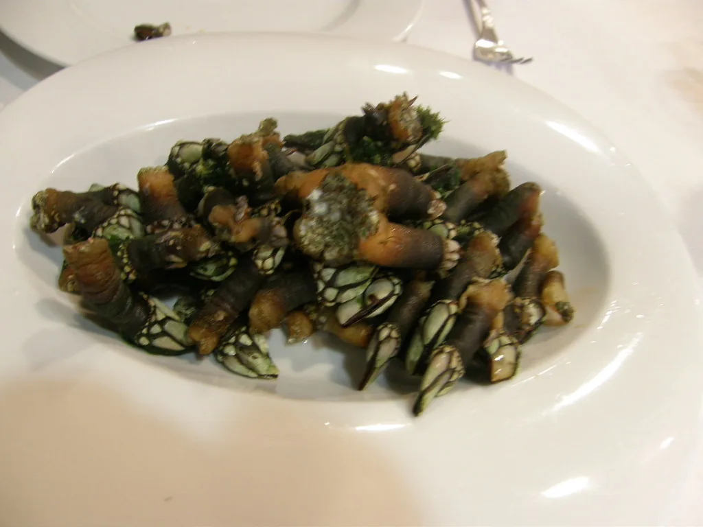 Een bord met percebes (eendenmossels), die eruitzien als kleine drakenpootjes