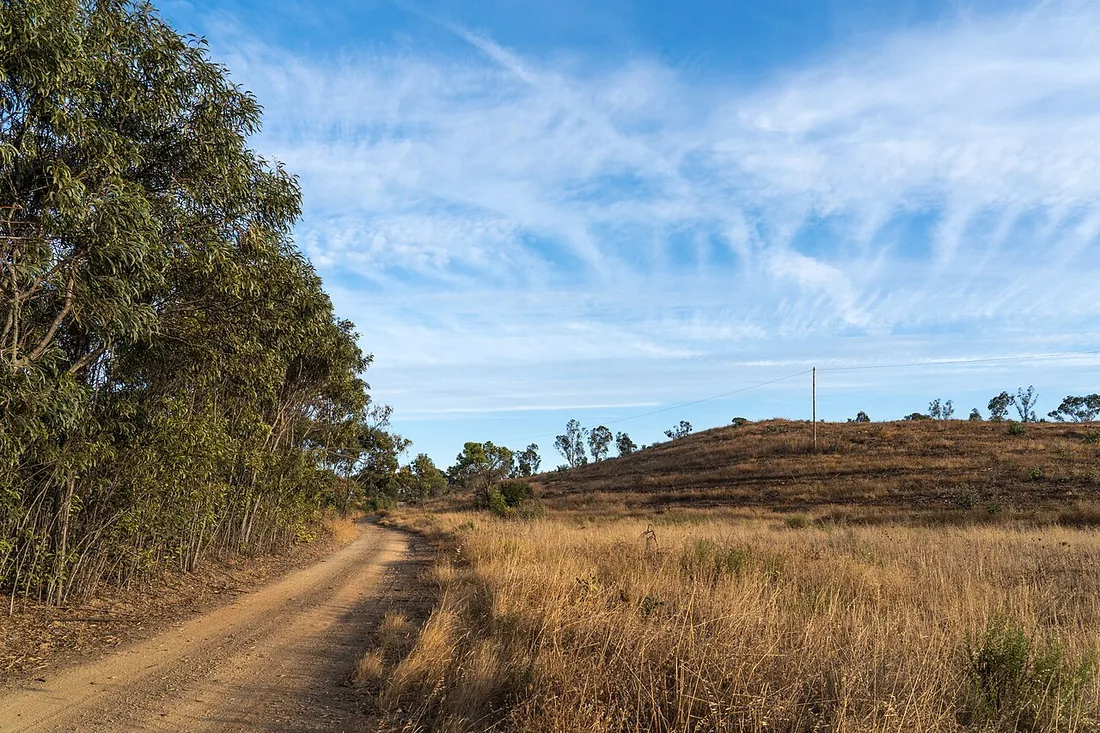 Zandpad door het heuvelachtige binnenland achter Vila Nova de Cacela met droog gras